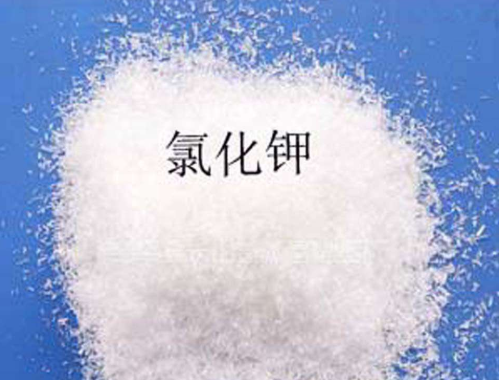 优质黄色网站免费看片